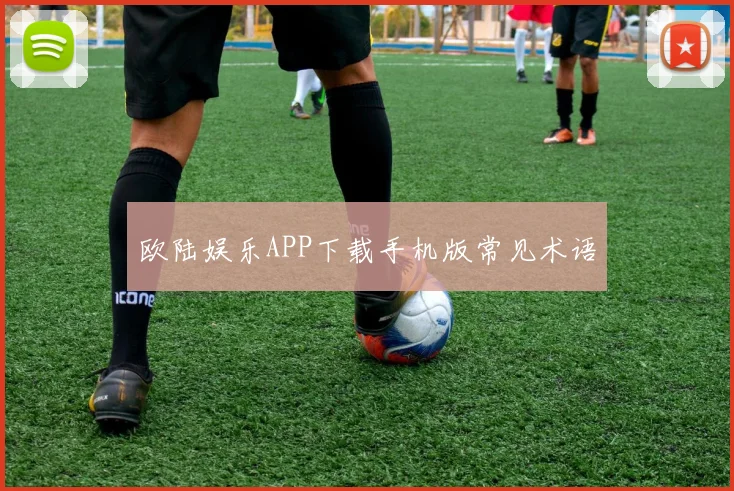 欧陆娱乐APP下载手机版常见术语